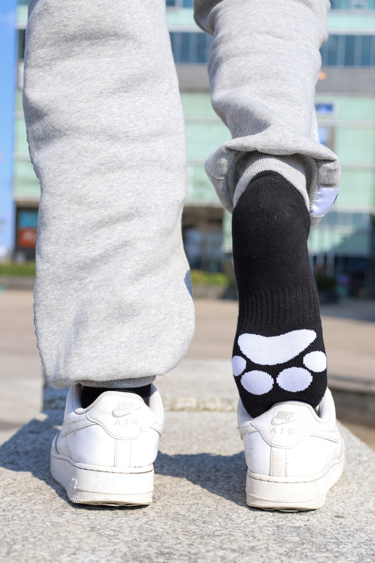 Sk8erboy® PUPPY Short Crew Socks black